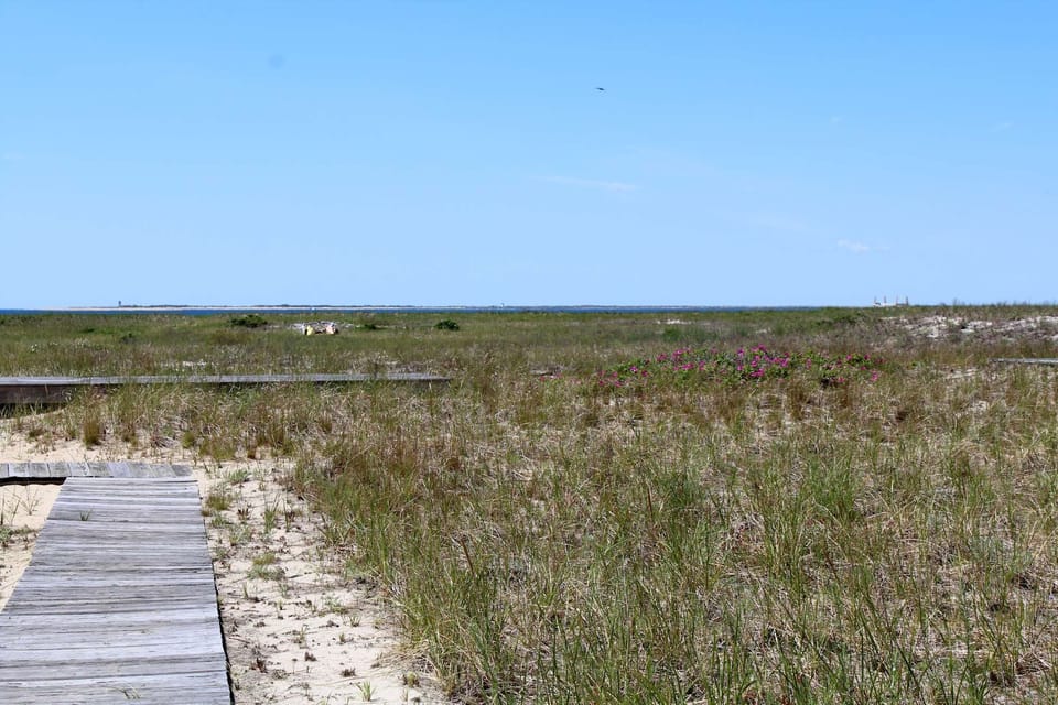 Follow the sandy path to the Cape Cod Bay beach