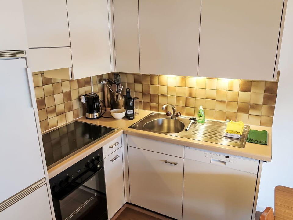 Kitchen Appliance, Kitchen, Countertop, Major Appliance, Flooring, Cabinetry, Wood, Interior Design, Home Appliance, Kitchen Sink