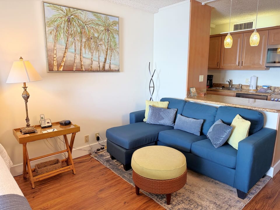 Living Room Area