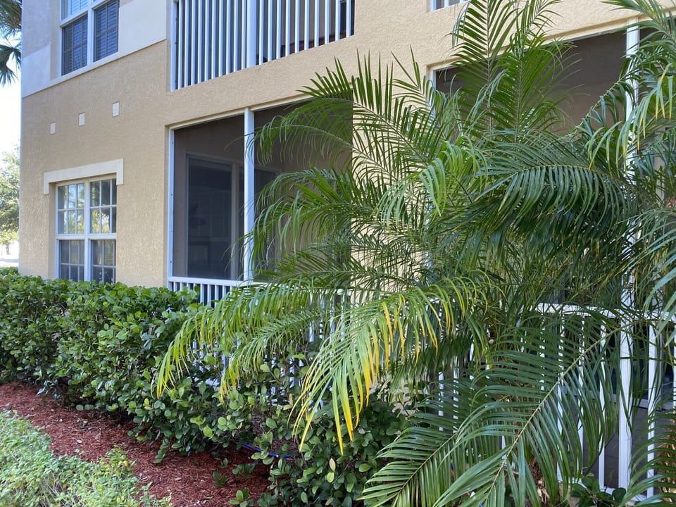 Lanai and Master Bedroom window 