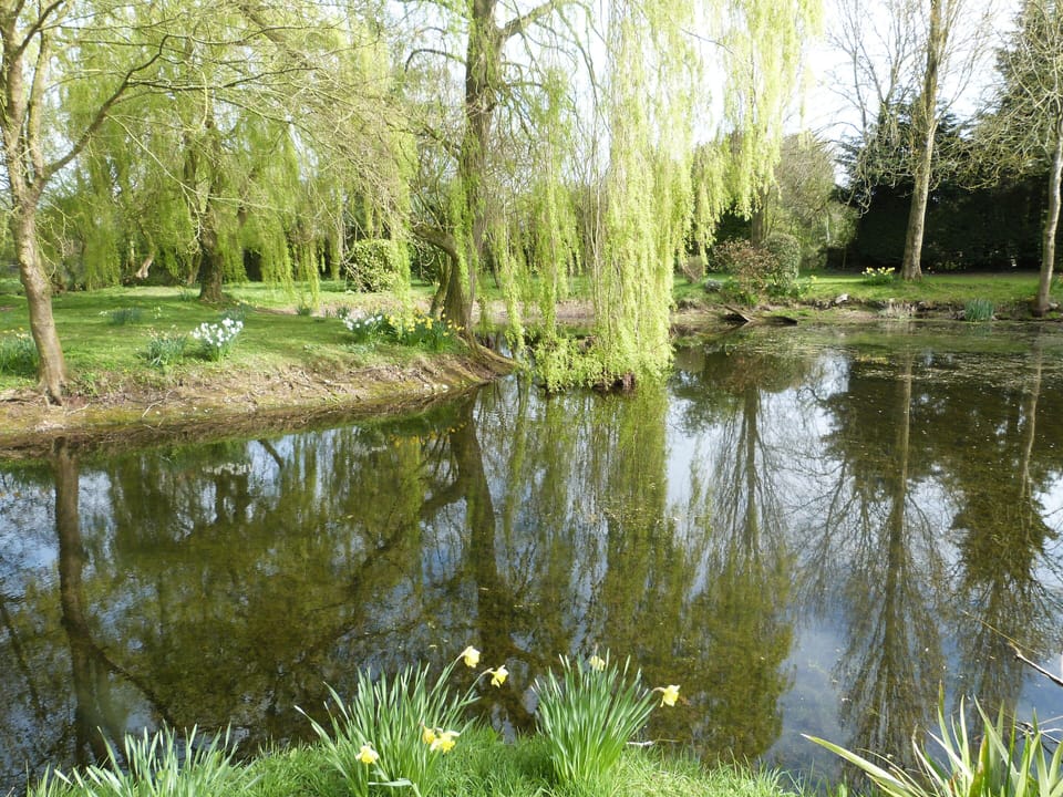 Lake