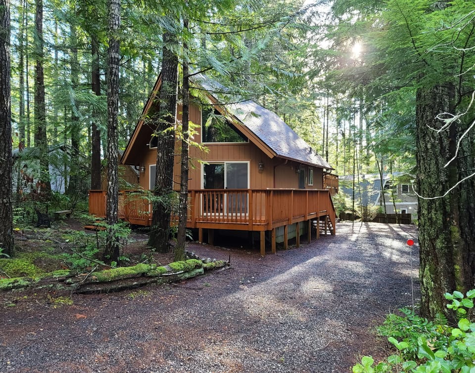 Cabin front and driveway