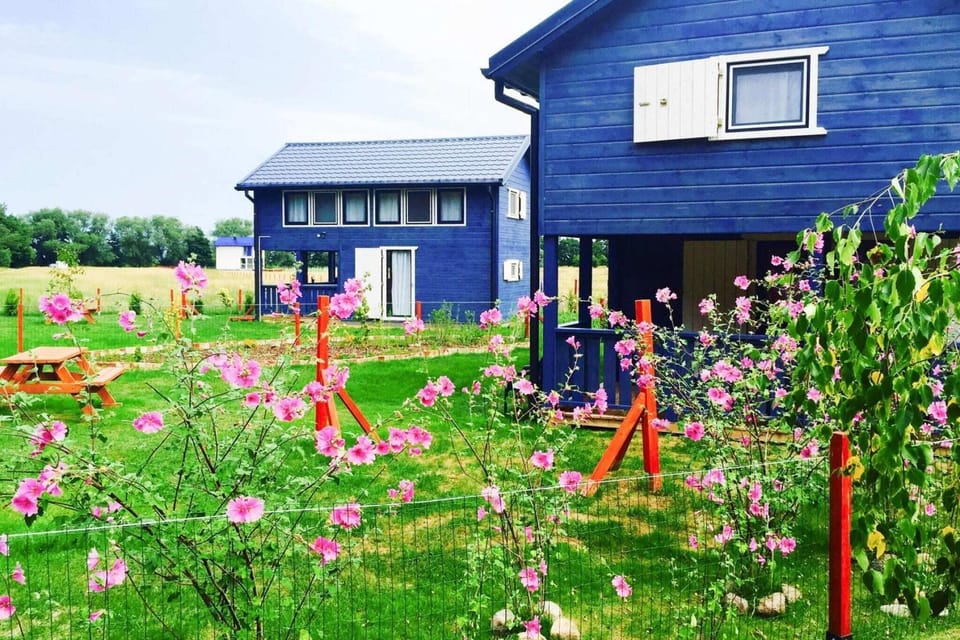 Garden [summer]