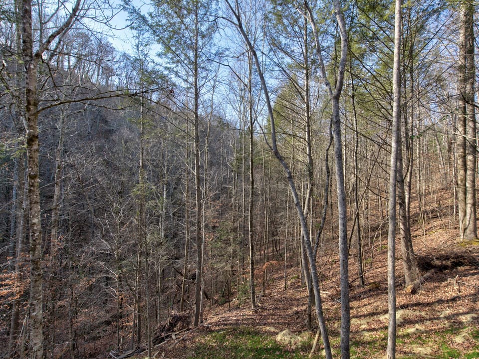 View from Twisted Pines