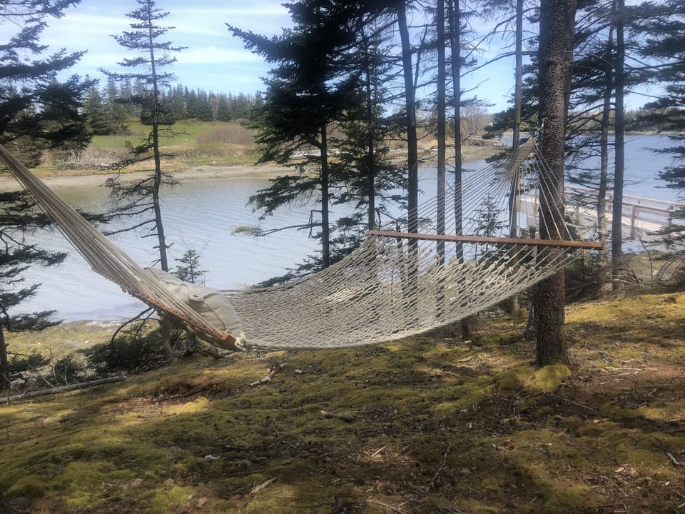 Hammock overlooking private dock