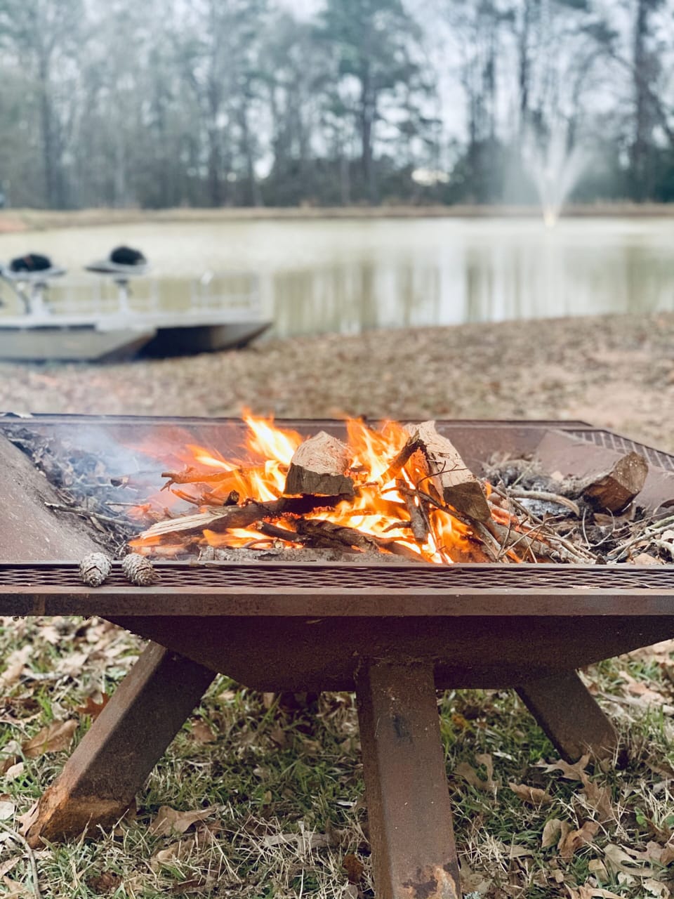 Fire pit by pond 