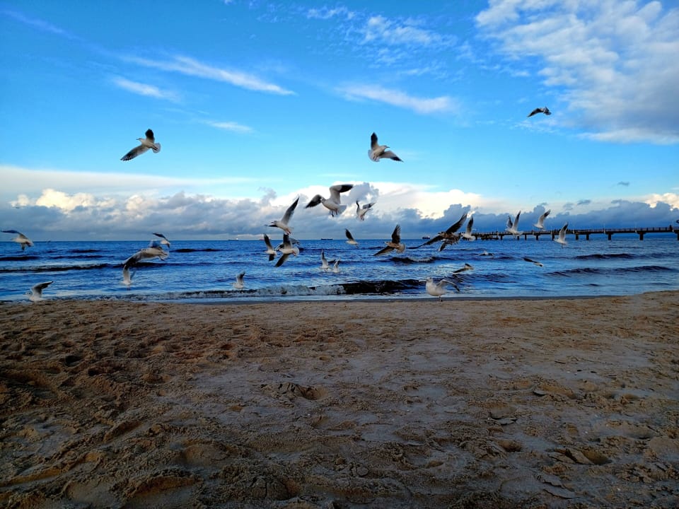 Beach