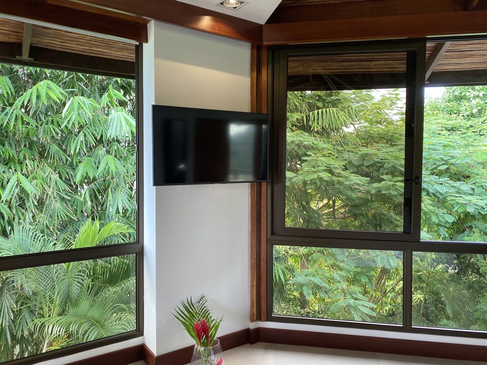 Monkitail (303) - Bedroom TV