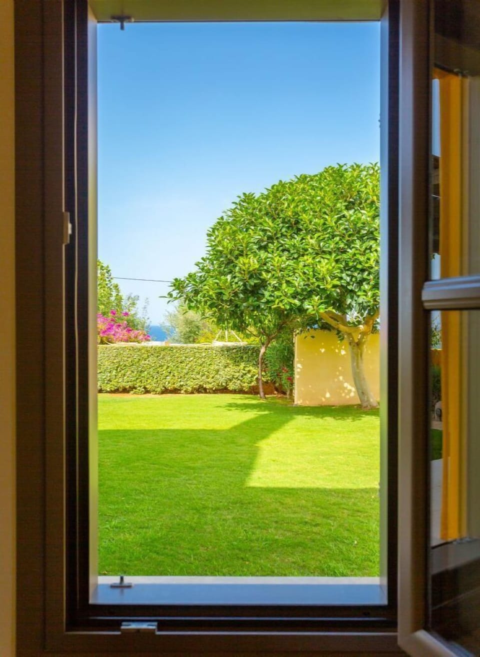 View of garden from bedroom window