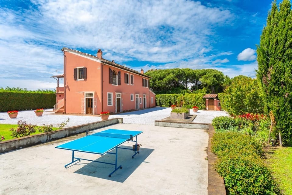 Table tennis
