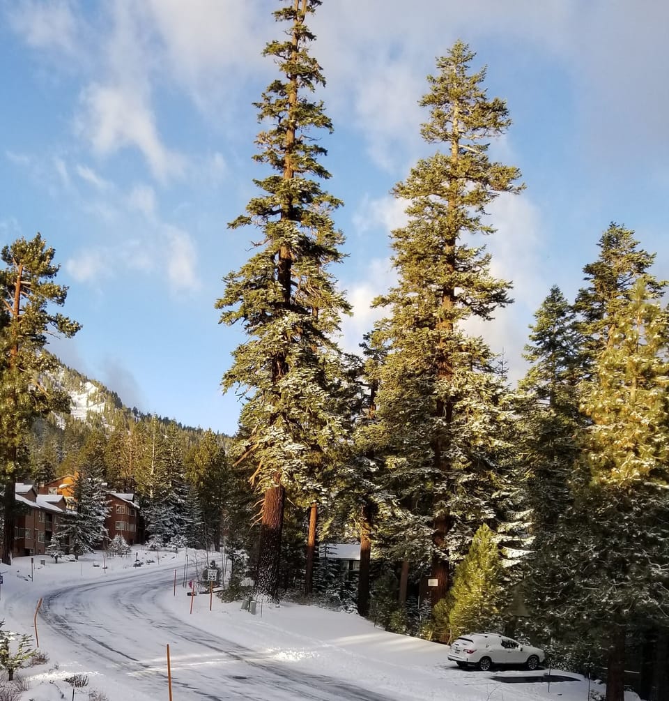 view from the balcony
