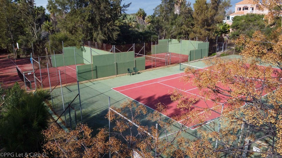 Sport court