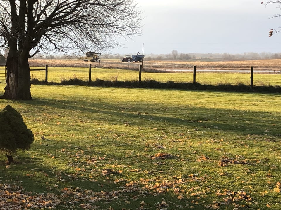 View from dining area