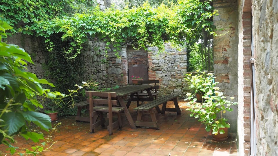 A vine-shaded patio at the front of the house has table and chairs for outdoor dining