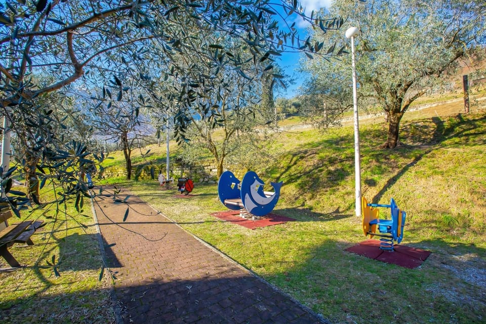 Surroundings