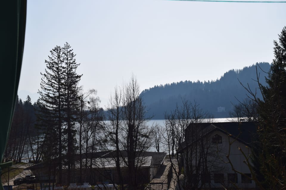 Terrace view
