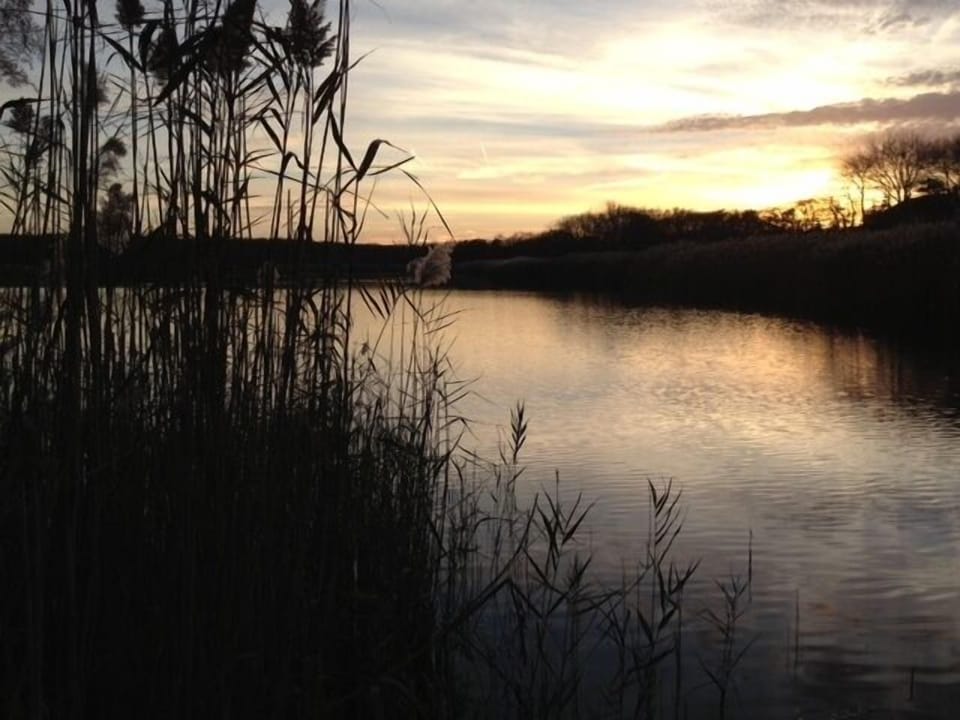 Nearby Lake at Sunset