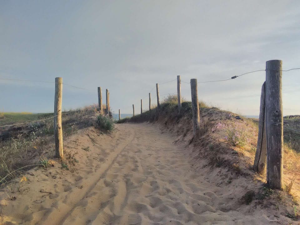 Beach