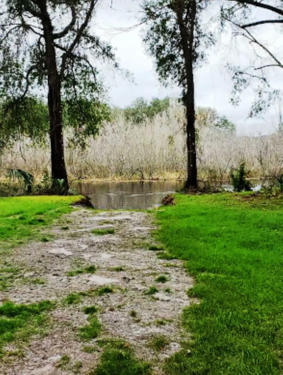 Property grounds