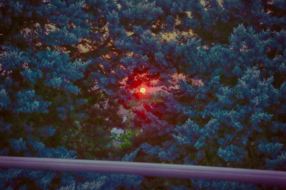 View from property