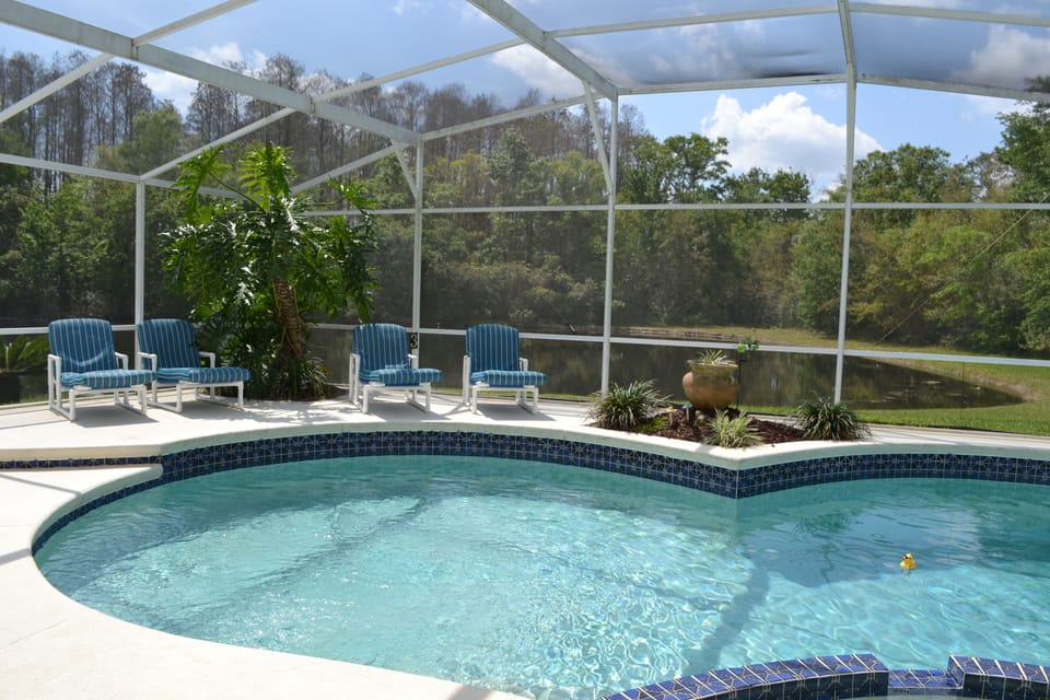 Luxury Palm Casual pool furniture.  