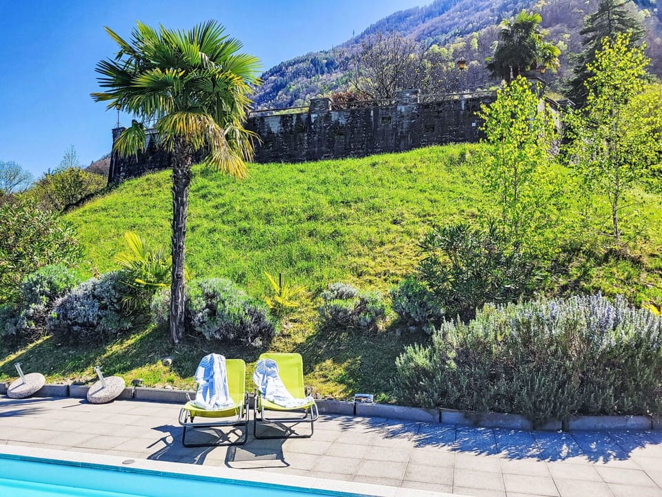 Blue, Green, Shrub, Garden, Groundcover, Eco Hotel, Landscaping, Swimming Pool, Resort, Yard