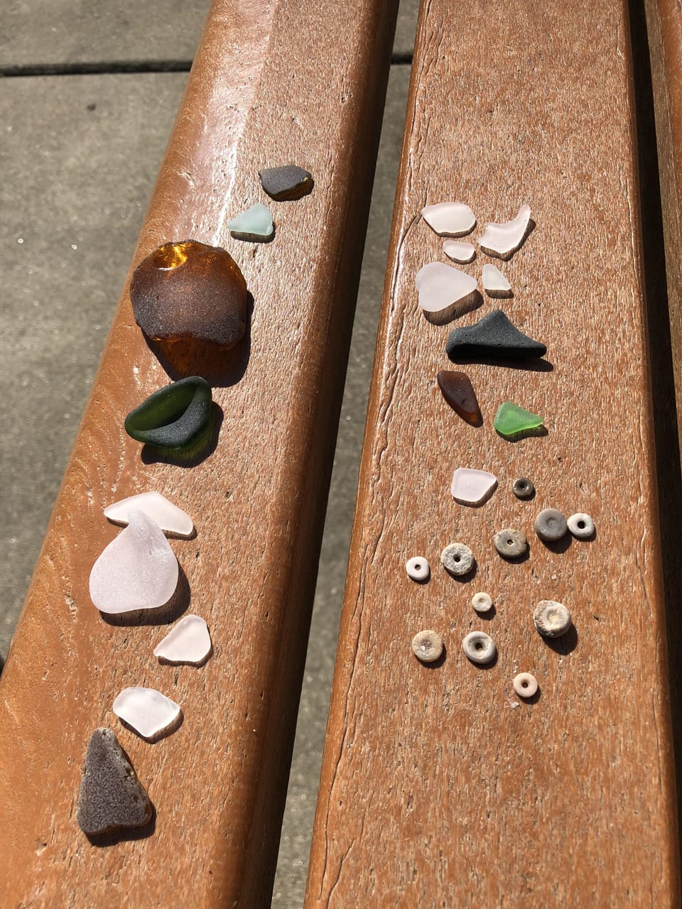 Spring beach treasures