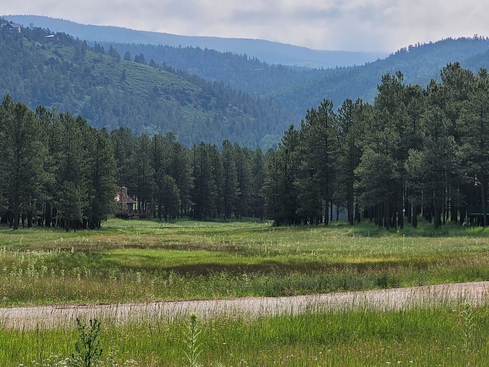 Scenic Cougar trail is just a 5-8 minute walk from our cabin.