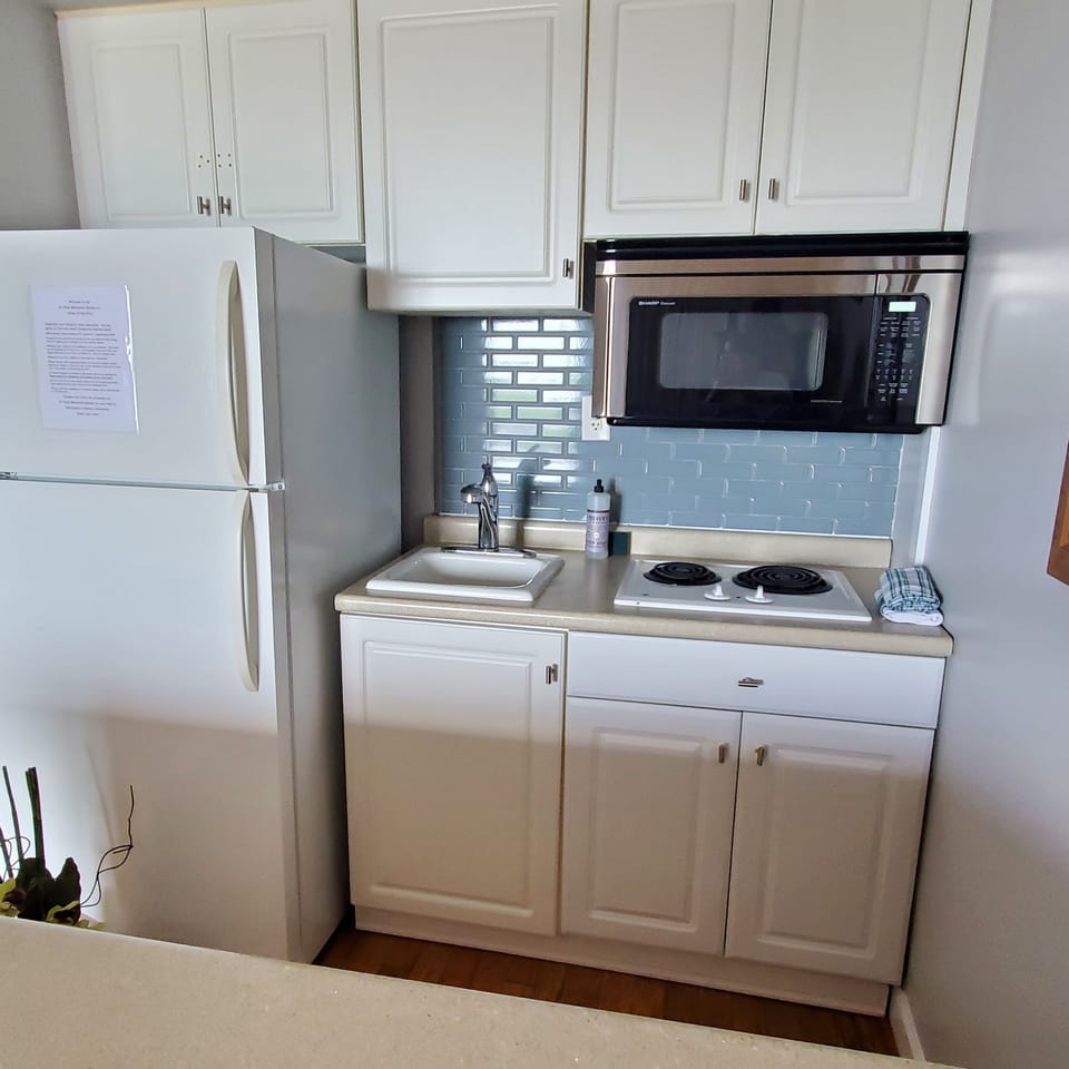 Full sized fridge and 2-burner cooktop.  Combo convection and microwave oven.