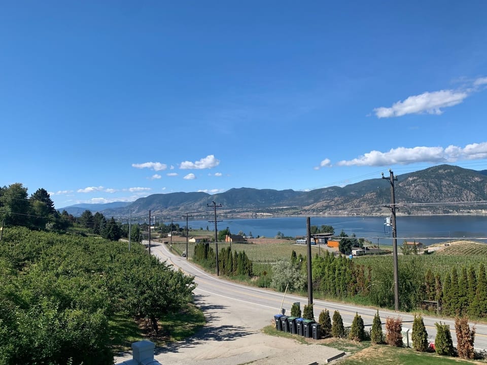 View from the house
