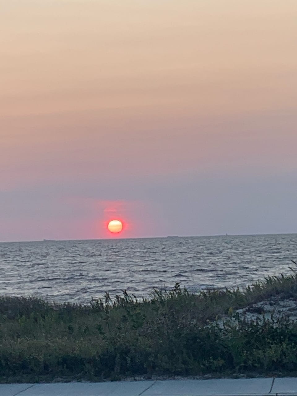 View from front yard