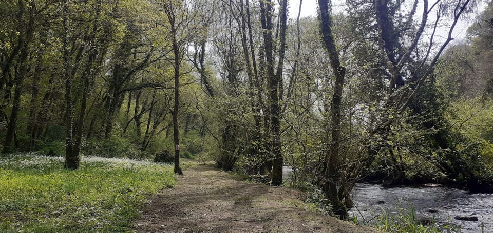 Image 16