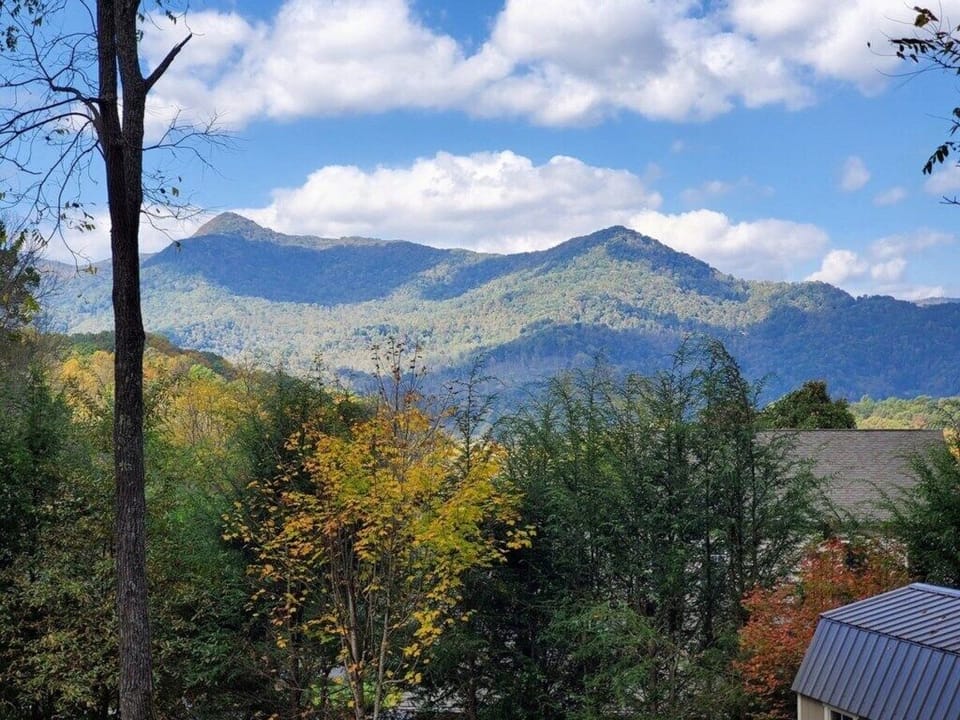 Wakulla View (5)