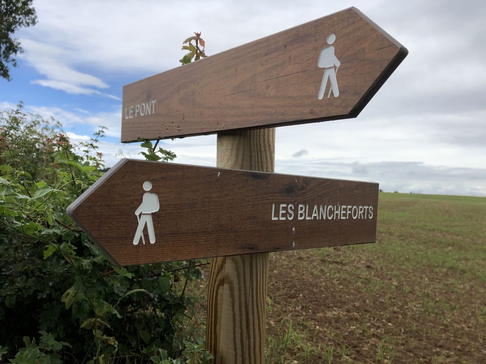 Waymarked tracks for walking and cycling 