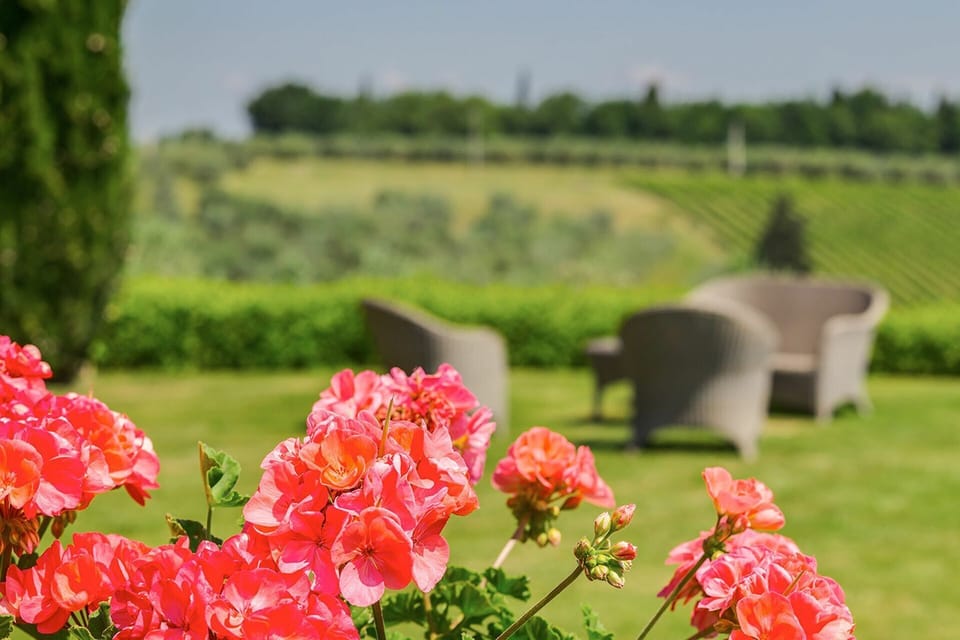 Flower, Plant, Petal, Green, Nature, Natural Environment, Natural Landscape, Tree, Vegetation, Grass