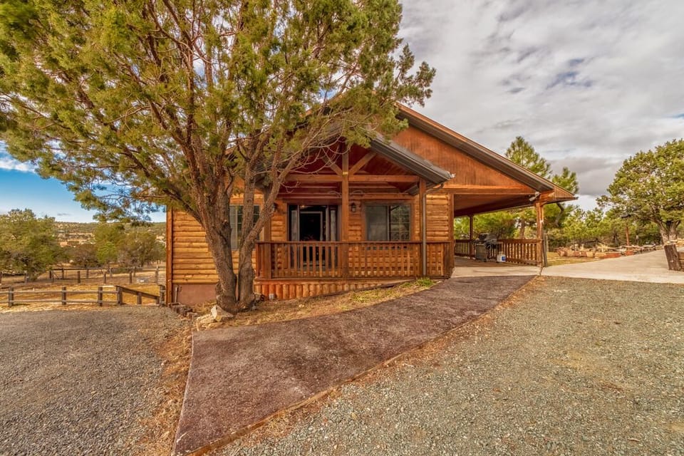 Welcome to Wild Mustang!