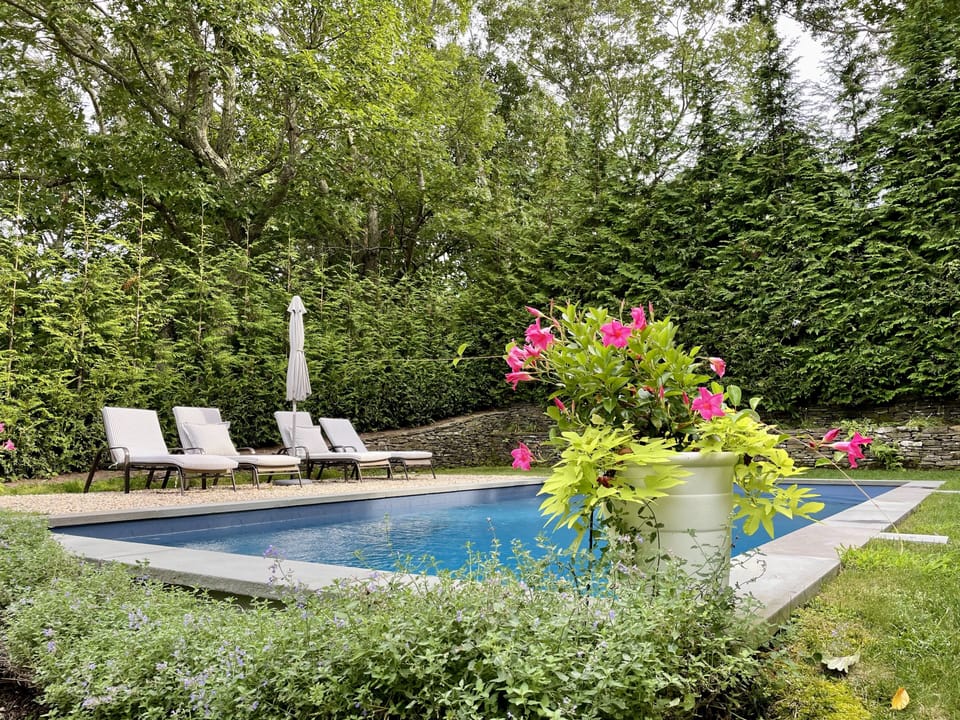 Backyard salt water pool, fully surrounded by trees & hedges