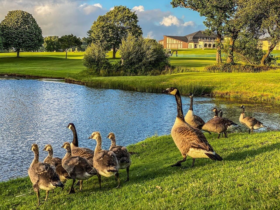 Lanhydrock Golf Club