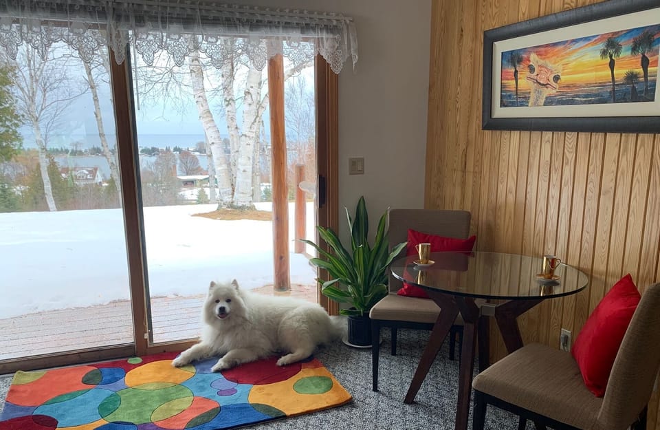 Pet friendly. Small cleaning fee required for extra cleaning after pets.