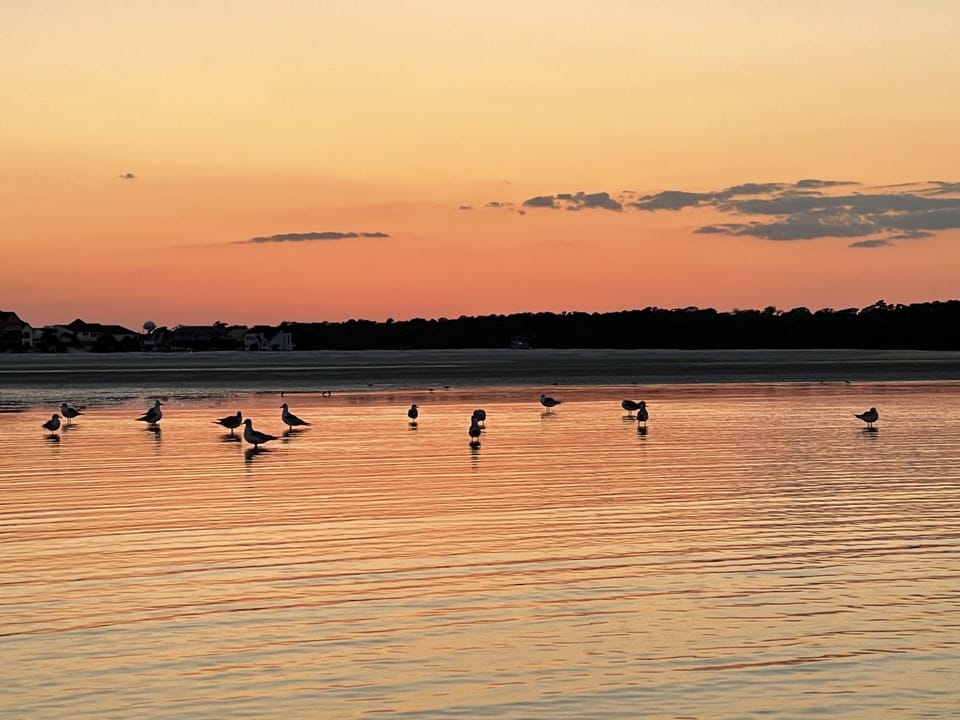 Amazing sunsets