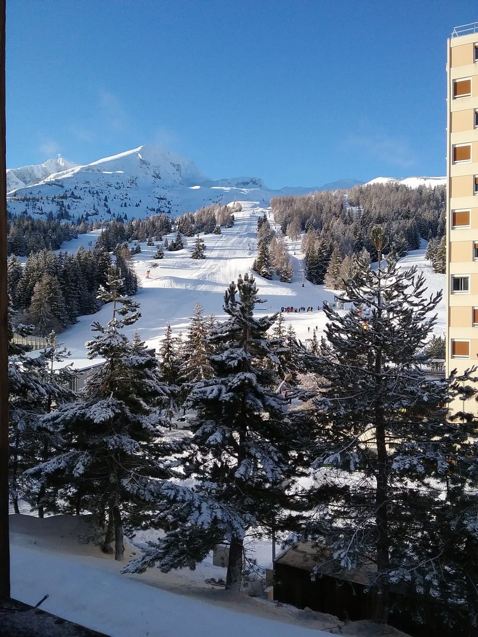 Snow and ski sports