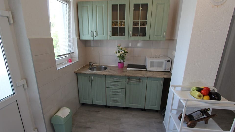 Kitchen and living room