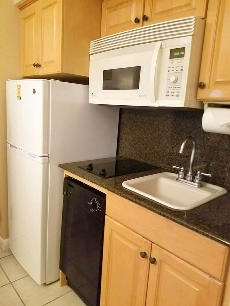 Full Refrigerator, microwave, sink, burner stove top (no oven) and coffee maker.