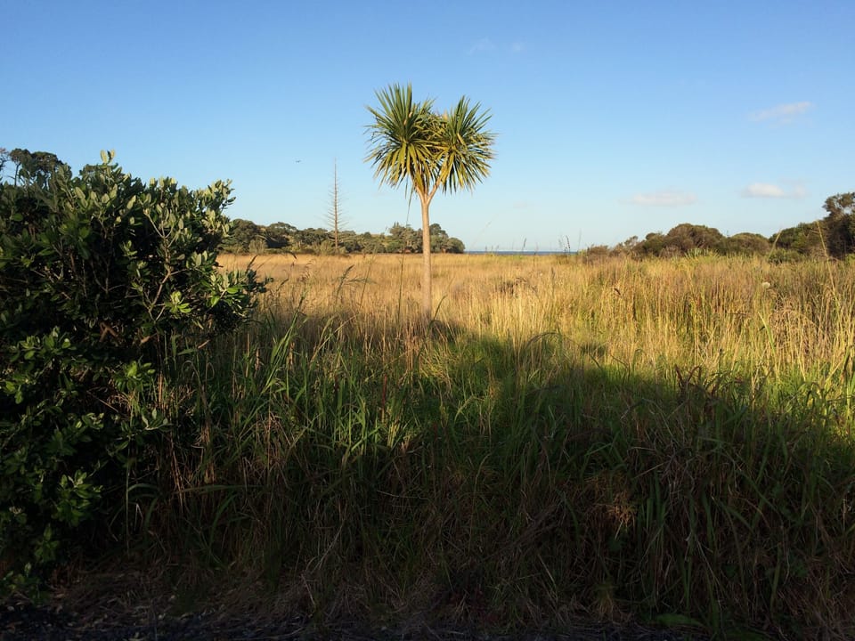 DOC land by boat ramp