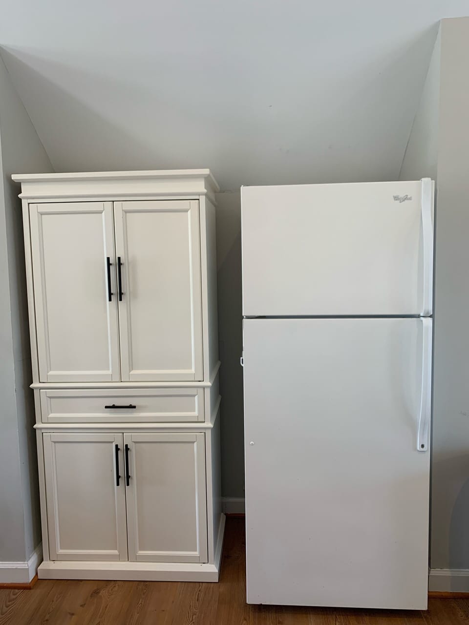 Pantry and fridge