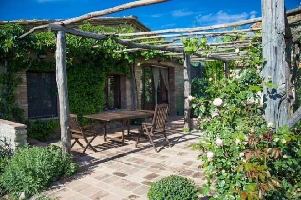 Olivo's terrace