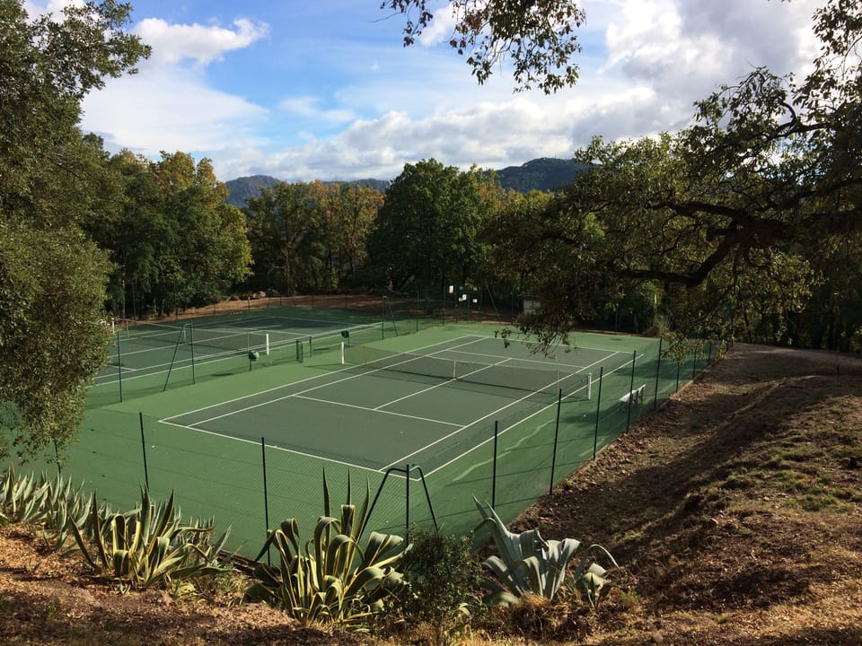 Sport court