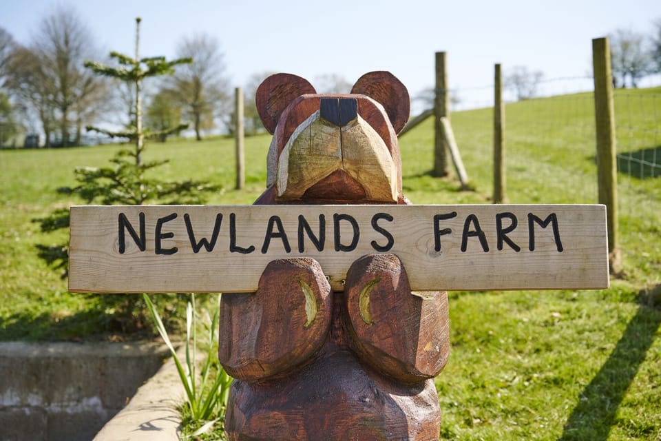 Our newlands Farm Bear is there to great all guests