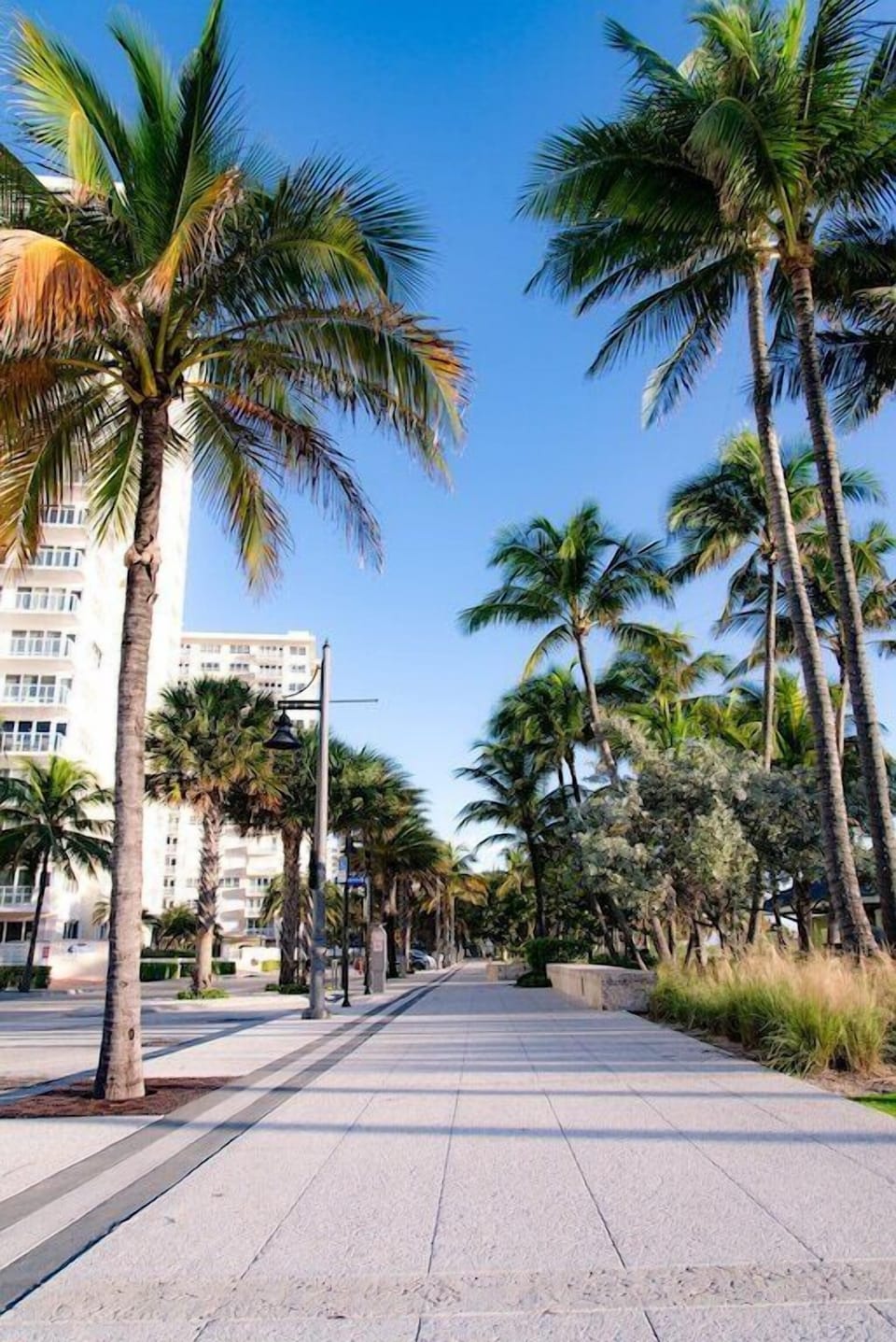 Take a stroll 6 blocks north along the beach to encounter restaurants & shops.