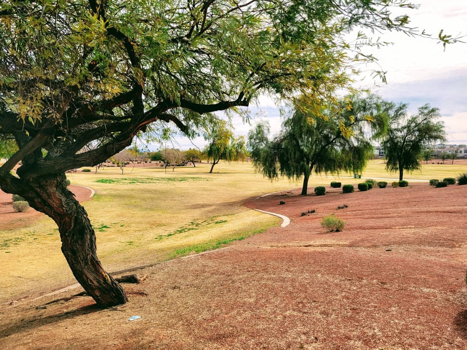 the park across  the street